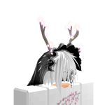 @Ilxvst