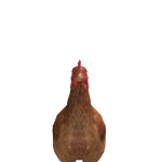 @Christian76886884