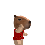 @imhim1234p2