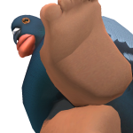 @Aidanng2021