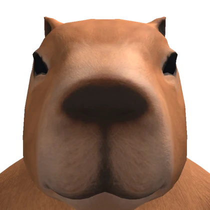 NOOBY avatar