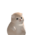 @ilmbf205