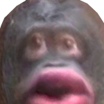 @dmsgjjj