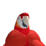 @wily22222