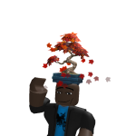 @BlxrrBlox
