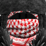@mateobo12345