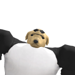 @anonimo_roblox