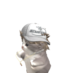 @NotFibbygamer