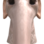 @oriolesrule4545