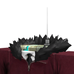 @xvxvxvvvxvxxvxxvxvxx