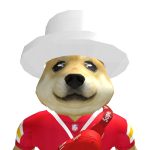 @DogeProKing234