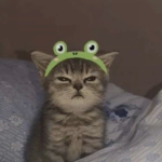 @kwttnholder