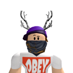 @roborobloxian222