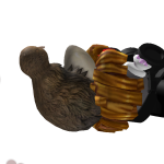 @Deleted_Egg