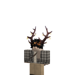 @CookoeAbilty