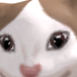 @Derpyman44444