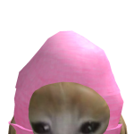 @Sunshine_Kawaiiiii
