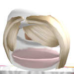 @KapTheRiceLover