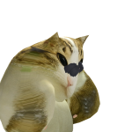 hmm