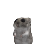 @ciaponator