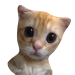 @smshmsko
