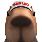 lcboggi