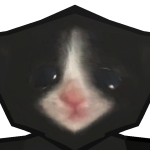 @COECAT