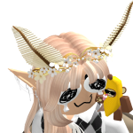 @2551625