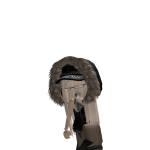 @L1_L4s