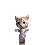 salmonXUX