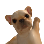 @Dalmatianslover101