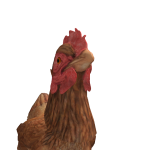 @FreepyRblx