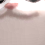 @German_Cat12