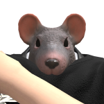 @CanIHasMod