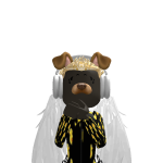 @ERDEMGAMER011