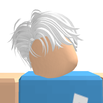 Roblox profile picture for @erluur