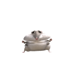 @pineapplepengirl126