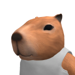 @4SHN