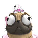 ally