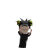 y6rq