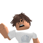 @turtlerdude1211
