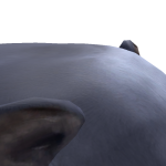 @Supdudlebot23