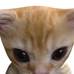 @ddobiedo