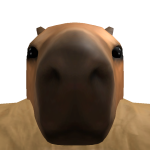 @YTDoDoYT