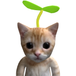 @hahaheonjunf