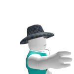 @a1dynscool