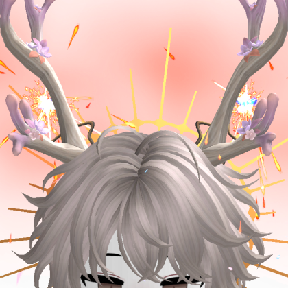 nymfjf