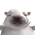 @Duxkwacky