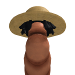idied20