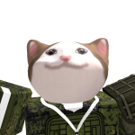 @SizuRank_Naiki